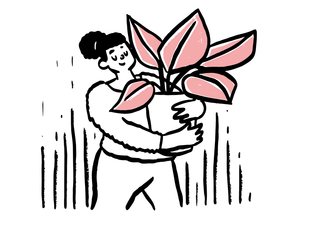 Person holding a potted plant