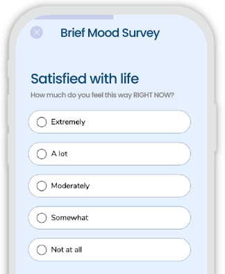 Brief mood survey