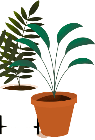 Potted plants