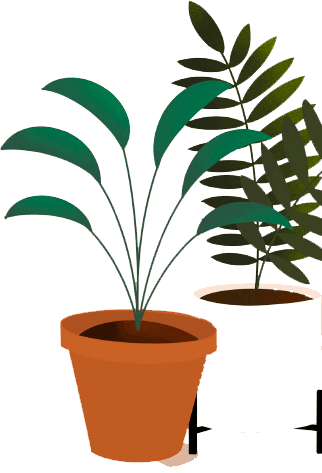 Potted plants